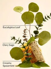 Eucalyptus Spearmint