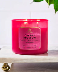 Cactus Blossom