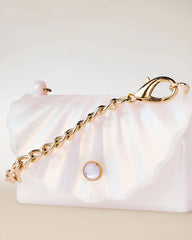 Shell Snapcase