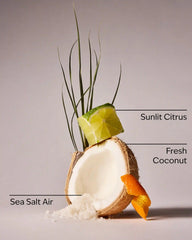 Kitchen Coconut