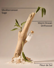Sea Salt & Driftwood