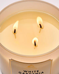 White Gardenia