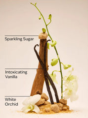 Warm Vanilla Sugar