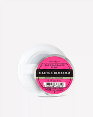 Cactus Blossom