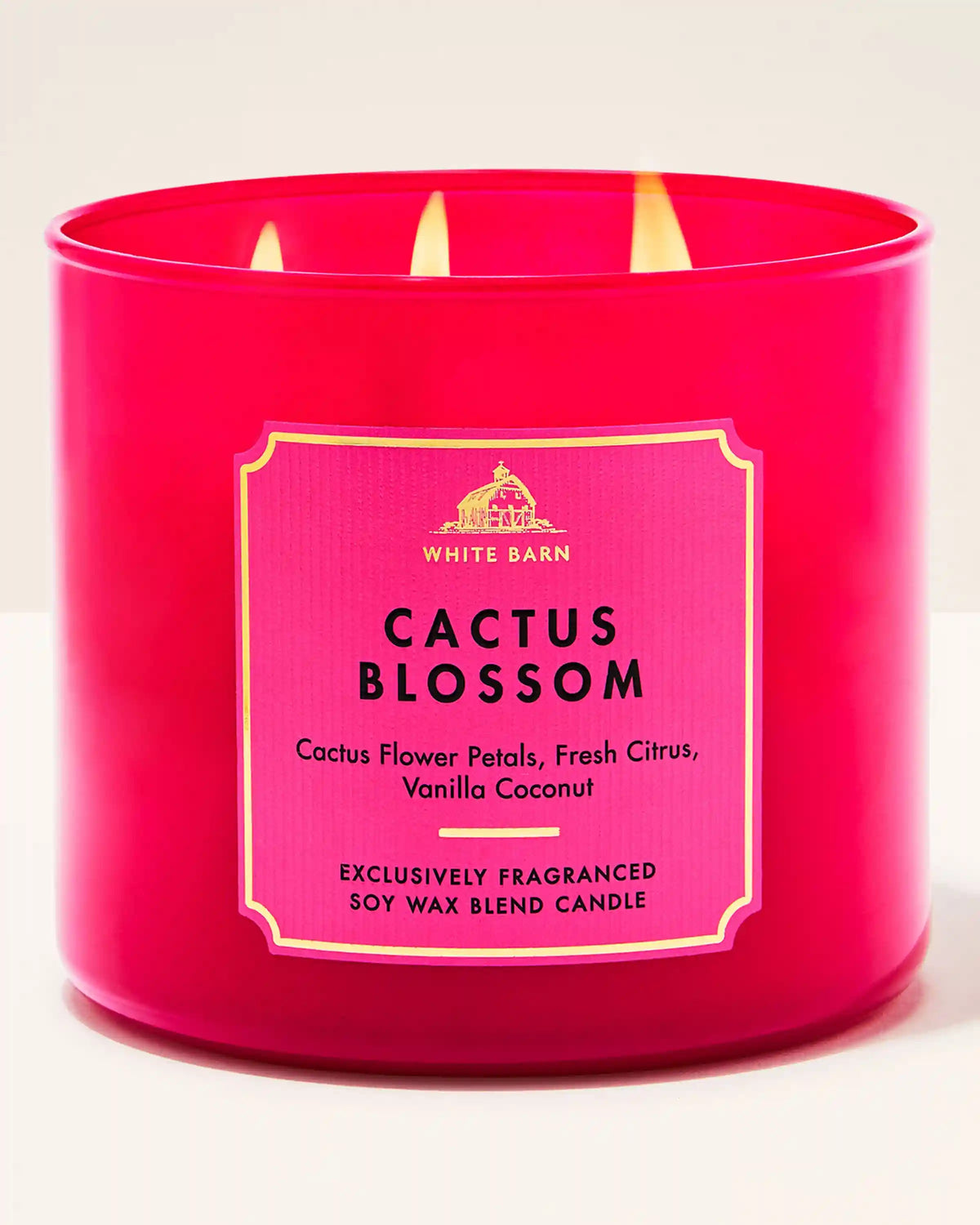 Cactus Blossom