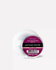 Autumn Drive
