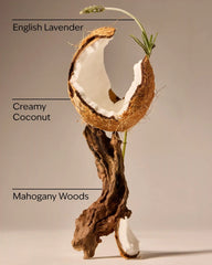 Mahogany Coconut