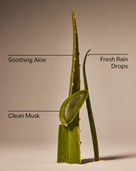 Cool Aloe Water
