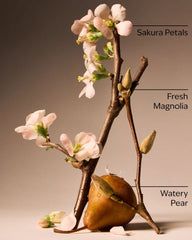 Forever Cherry Blossom