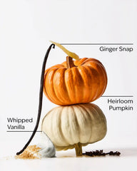 Sweet Cinnamon Pumpkin