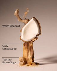Brown Sugar & Coconut
