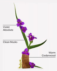 Very Violet