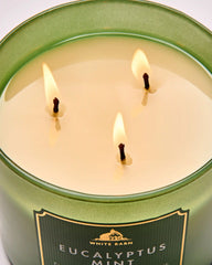 Eucalyptus Mint