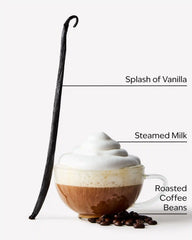Freshly Brewed Coffee