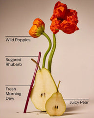 Poppy