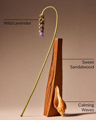 Oceanside Lavender