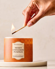 Sweet Cinnamon Pumpkin